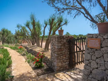 Moli de Son Vidal, Maison 8 personnes à Santanyí - Photo 48