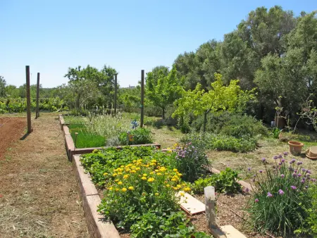 Moli de Son Vidal, Maison 8 personnes à Santanyí - Photo 51