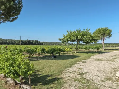 La Cardeline, Maison 4 personnes à Grignan - Photo 4