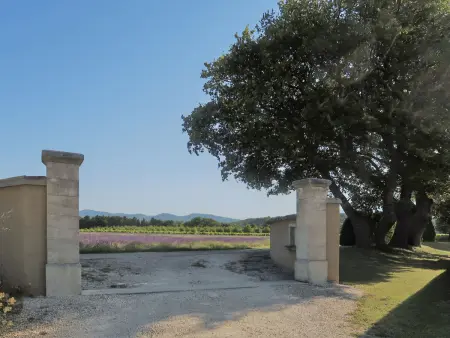 La Cardeline, Maison 4 personnes à Grignan - Photo 10