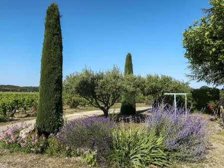 Le Mas, Maison 5 personnes à Grignan - Photo 4