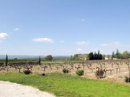 Les Vignes, Maison 4 personnes à Ménerbes - Photo 19
