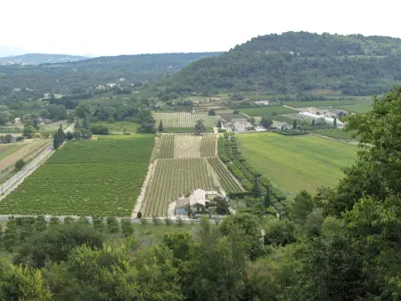 Les Vignes, Maison 4 personnes à Ménerbes - Photo 20