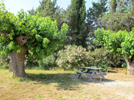 Mas du Combaud, Maison 5 personnes à Roquebrune sur Argens - Photo 18