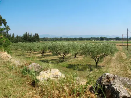 Mas du Combaud, Maison 5 personnes à Roquebrune sur Argens - Photo 19