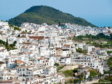 La Era, Gite 4 personnes à Frigiliana - Photo 35