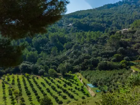 Short des Verger, Maison 8 personnes à Esporles - Photo 41