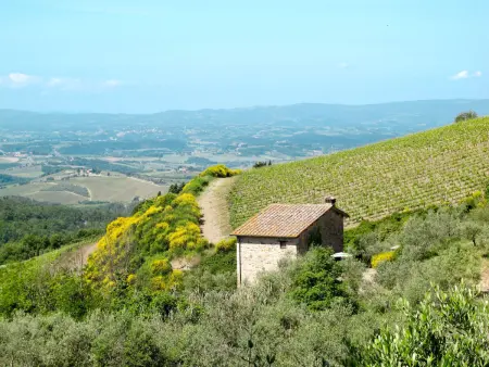 Cellole - Valluccia, Gite 4 personnes à Castellina in Chianti - Photo 1