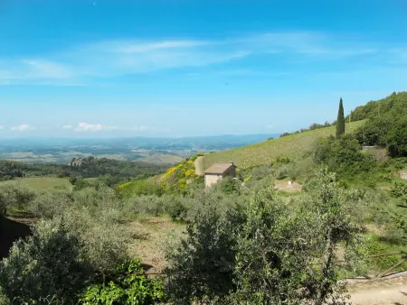 Cellole - Valluccia, Gite 4 personnes à Castellina in Chianti - Photo 21