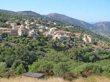 Le Home, Appartement 2 personnes à Calvi - Photo 35