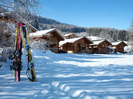 Bois de Champelle, Maison 6 personnes à Morillon - Photo 8