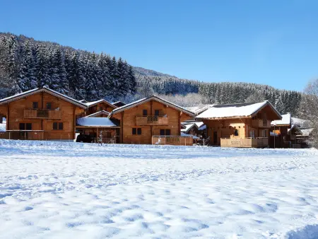 Bois de Champelle, Maison 8 personnes à Morillon - Photo 8