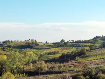Poggio all'Aia, Maison 8 personnes à Casole d'Elsa - Photo 7