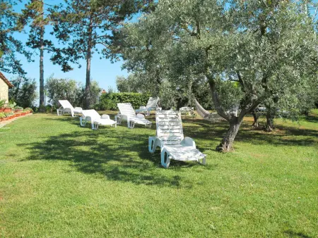 Linearis E, Gite 4 personnes à Linari - Photo 20