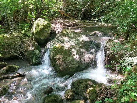 Acqua Santa, Gite 7 personnes à Arsita - Photo 18