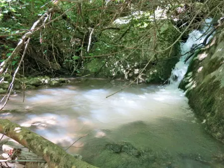 Acqua Santa, Gite 7 personnes à Arsita - Photo 19