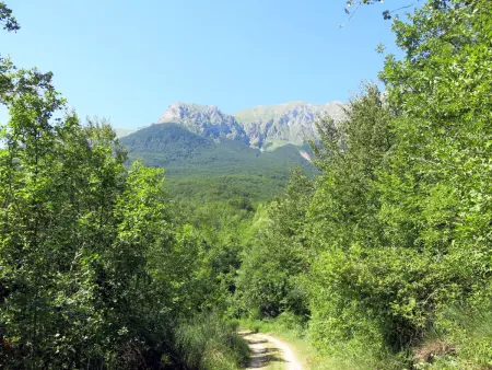 Acqua Santa, Gite 7 personnes à Arsita - Photo 21