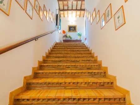 Il Noceto, Maison 10 personnes à Penne - Photo 9