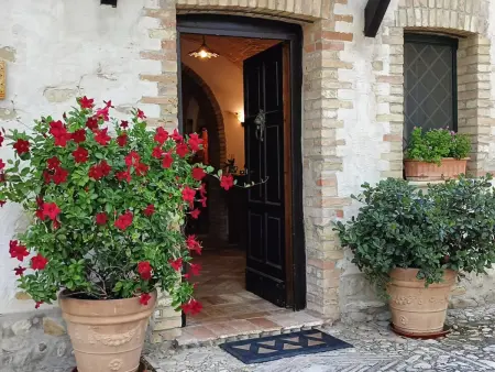 Il Noceto, Maison 10 personnes à Penne - Photo 10