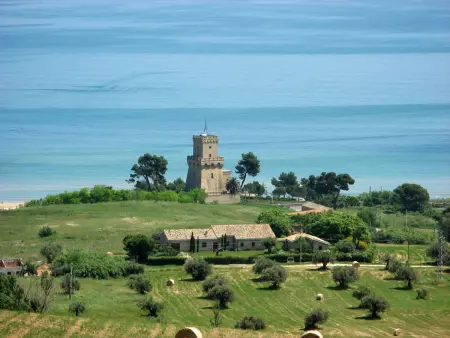 Il Noceto, Maison 10 personnes à Penne - Photo 35