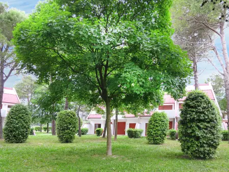 Villaggio Marina, Maison 8 personnes à Bibione - Photo 15
