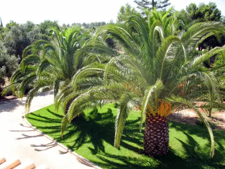 Do Lagar, Maison 6 personnes à Carvoeiro (Algarve) - Photo 14