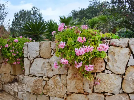 Do Lagar, Maison 6 personnes à Carvoeiro (Algarve) - Photo 16