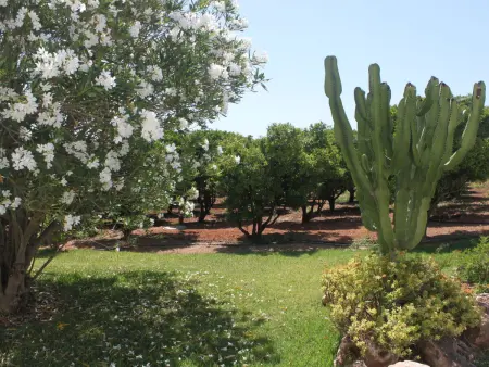 Do Lagar, Maison 6 personnes à Carvoeiro (Algarve) - Photo 18