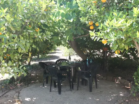 Do Lagar, Maison 6 personnes à Carvoeiro (Algarve) - Photo 19