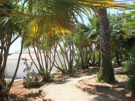 Do Lagar, Maison 6 personnes à Carvoeiro (Algarve) - Photo 21