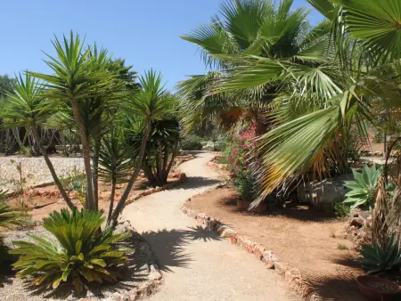 Do Lagar, Maison 6 personnes à Carvoeiro (Algarve) - Photo 24