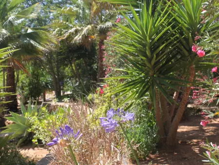Do Lagar, Maison 6 personnes à Carvoeiro (Algarve) - Photo 26