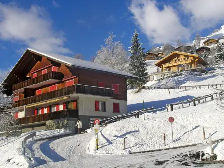 Chalet Desirée, Appartement 5 personnes à Grindelwald - Photo 1