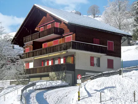 Chalet Desirée, Appartement 5 personnes à Grindelwald - Photo 17