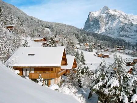 Wychel, Chalet 2 personnes à Grindelwald - Photo 1