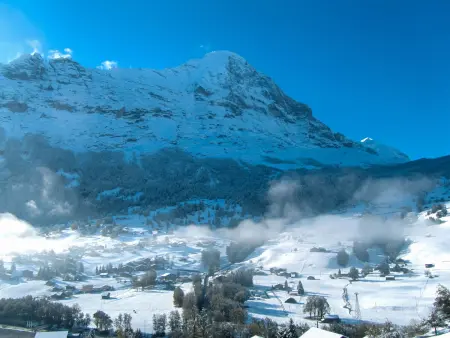 Wychel, Chalet 2 personnes à Grindelwald - Photo 19