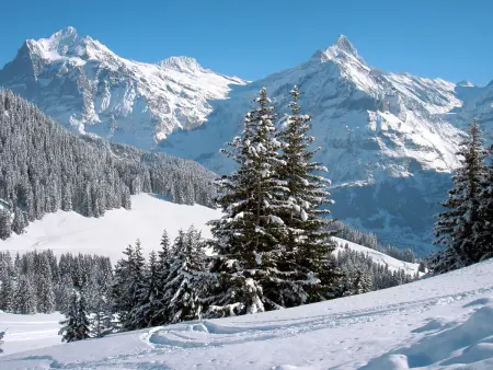 Wychel, Chalet 2 personnes à Grindelwald - Photo 20