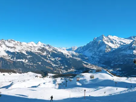 Wychel, Chalet 2 personnes à Grindelwald - Photo 26