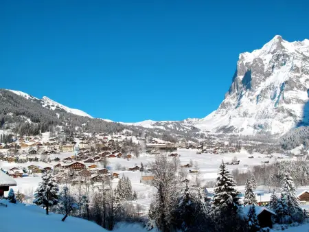 Wychel, Chalet 2 personnes à Grindelwald - Photo 27