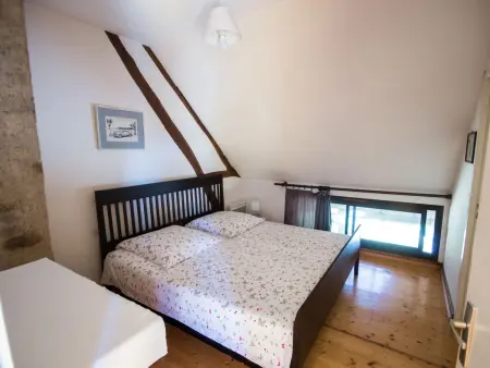 Alexandre, Gite 8 personnes à La Chapelle Saint Sauveur - Photo 23
