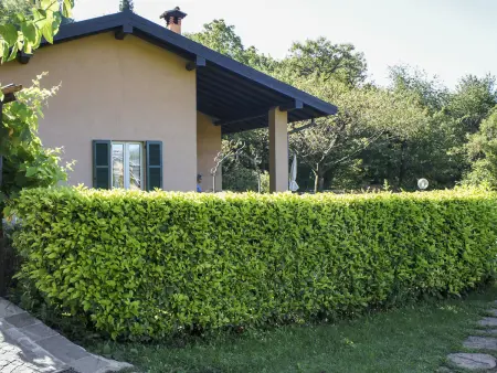 Ronco (VNA215), Maison 4 personnes à Varenna - Photo 16