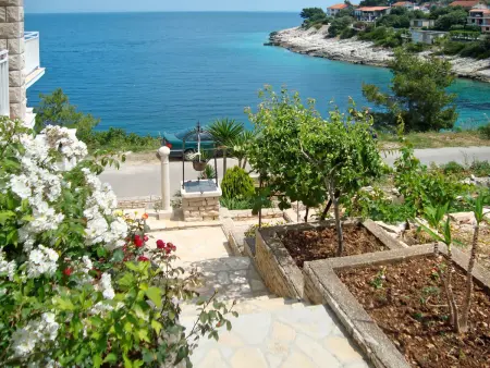 Borovina, Appartement 3 personnes à Korčula Korčula - Photo 10