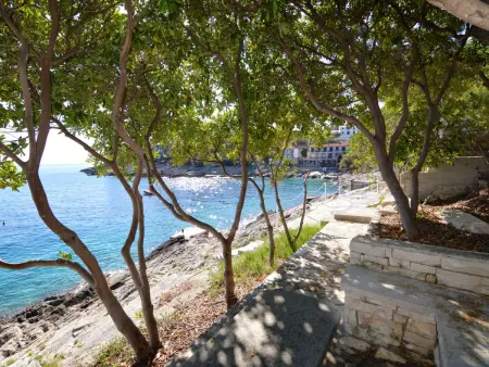 Borovina, Appartement 4 personnes à Korčula Korčula - Photo 13