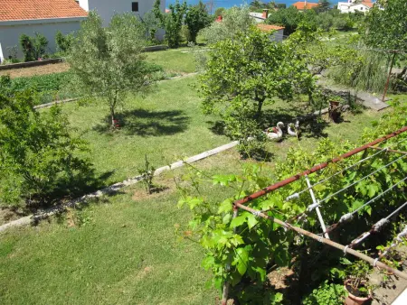 Katić, Appartement 4 personnes à Zadar - Photo 15