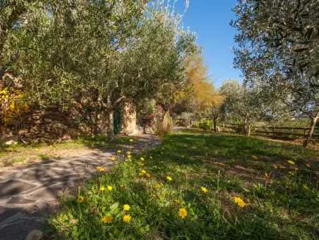 Piccola Oasi 4, Maison 5 personnes à Capoliveri - Photo 25