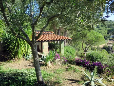Piccola Oasi 8, Maison 2 personnes à Capoliveri - Photo 15