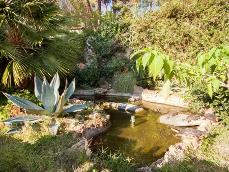 Piccola Oasi 7, Maison 4 personnes à Capoliveri - Photo 26