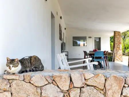 Il Melograno, Maison 6 personnes à Capoliveri - Photo 28