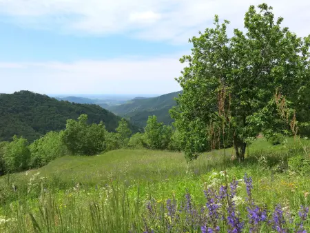 Casa Lienartova, Maison 4 personnes à Valli del Natisone - Photo 31