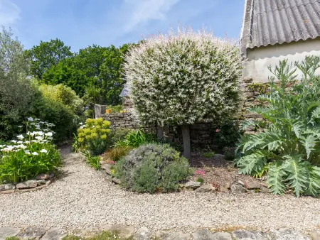 Aven, Maison 4 personnes à Tregunc - Photo 22